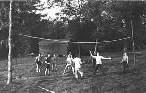 Volley Ball Net